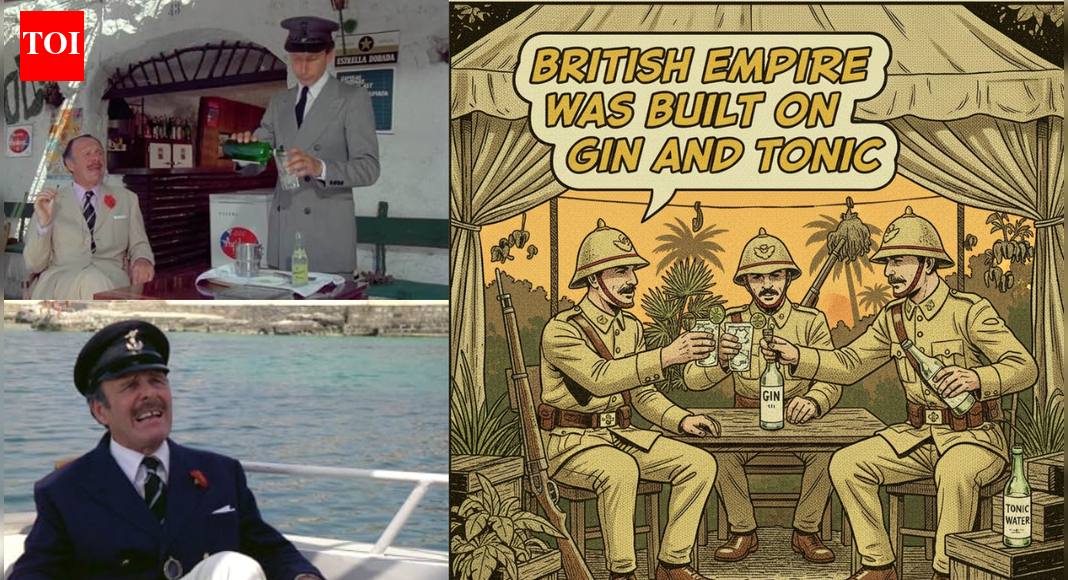 Viral Instagram reel explains why British empire was built on gin and tonic