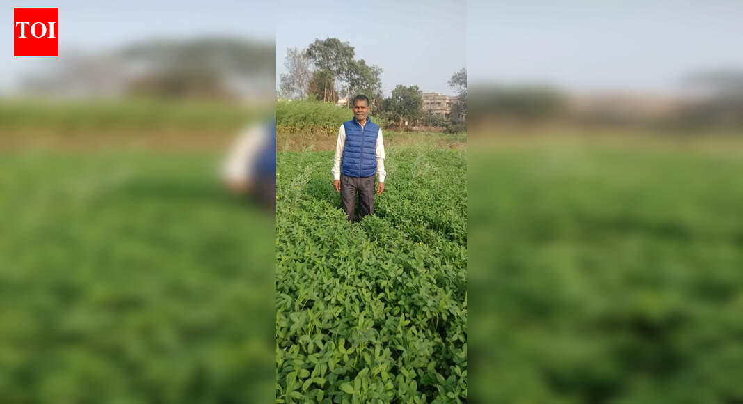 Hazaribag farmer builds multi-income rural enterprise with govt schemes