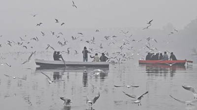 Nature-based solutions to clean water entering river