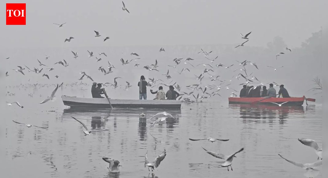Nature-based solutions to clean water entering river
