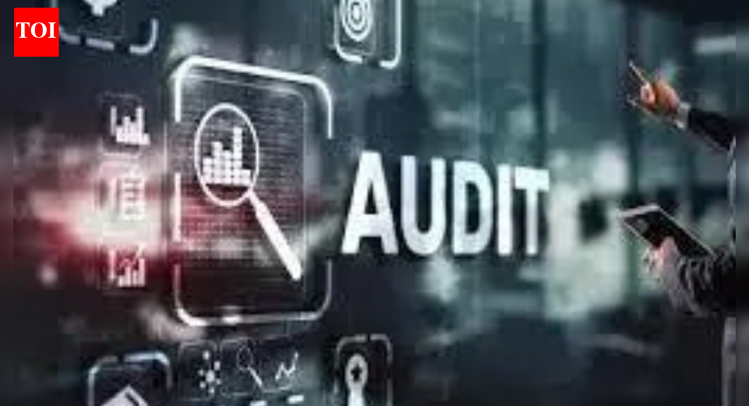 Audit push: NFRA releases second audit practice toolkit; focuses on revenue risk assessment
