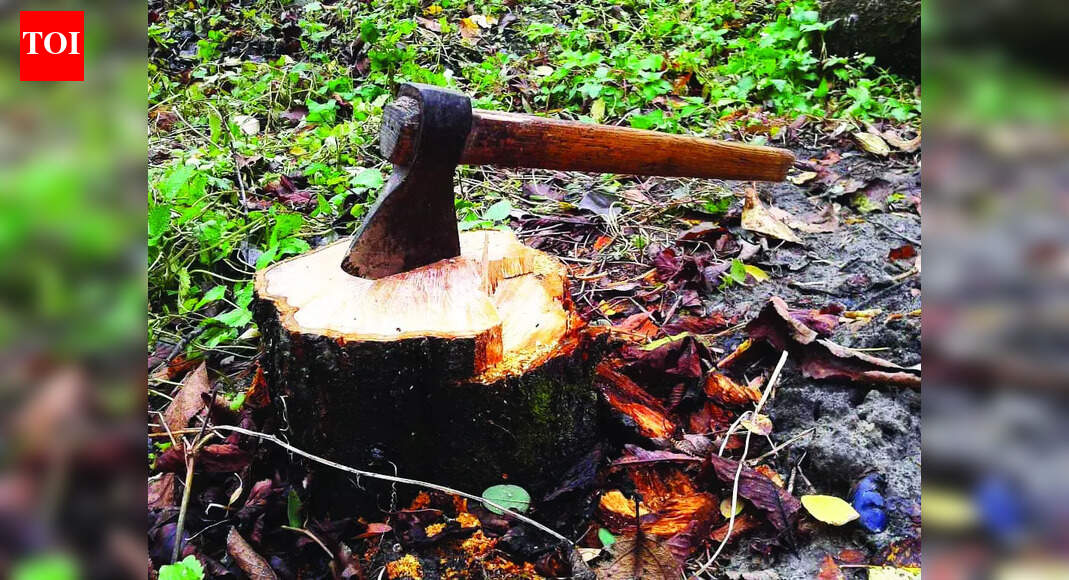 Govt tightens tree-felling rules;consent from all co-owners must