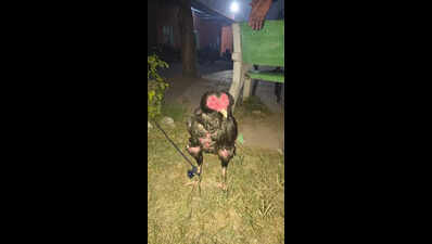 New Year’s eve cockfight-gambling raid in Bhadra: 10 arrested, organiser escapes