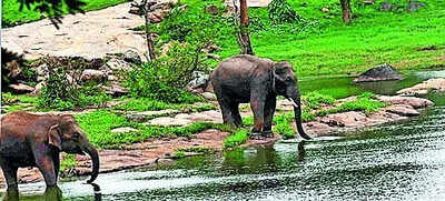 Aravalli-like row in Bengaluru: SC panel visit today