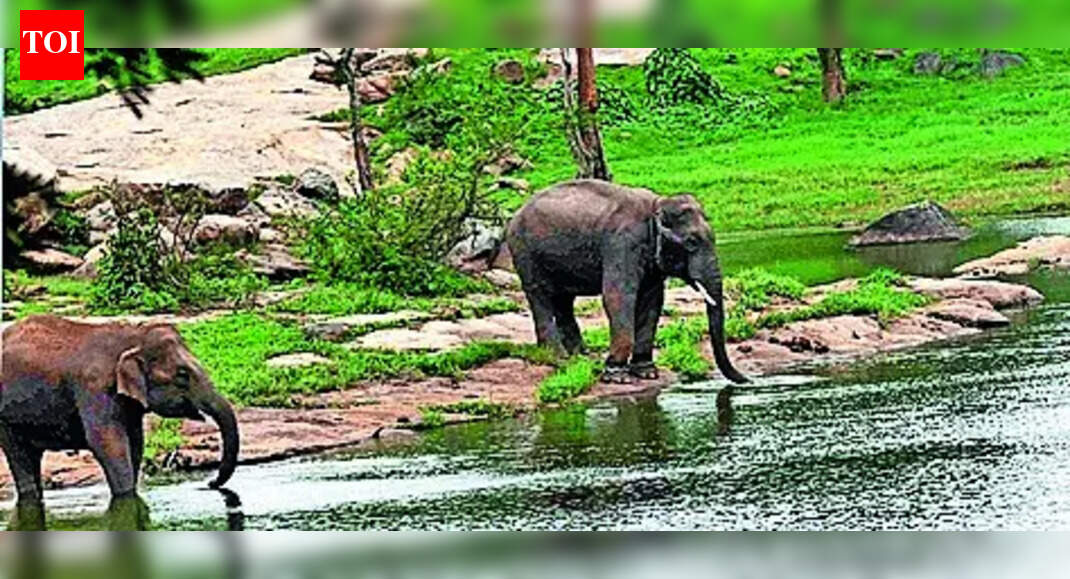 Aravalli-like row in Bengaluru: SC panel to visit on Friday