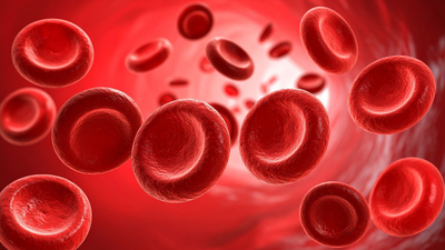 Case study: Holistic support for blood cancer patients through yoga and ayurveda