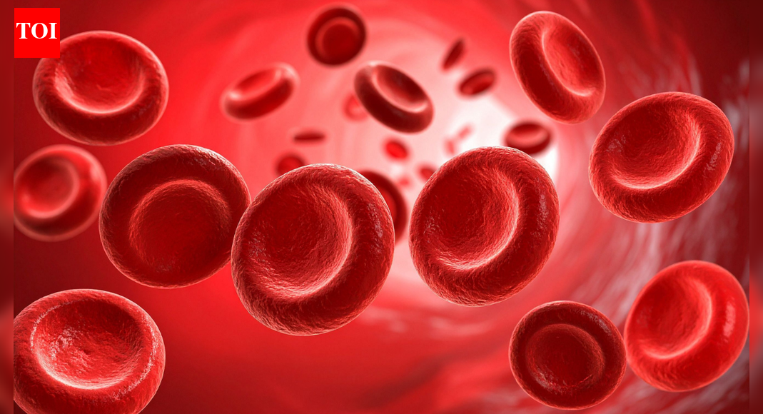 Case study: Holistic support for blood cancer patients through yoga and ayurveda