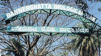 Aravali-like row in Bengaluru backyard: Bannerghatta park's ESZ shrinks; SC panel to visit today