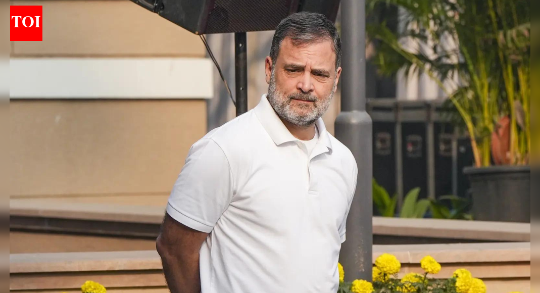 ‘Reality check’: BJP cites Karnataka govt survey to slam Rahul; ridicules ‘vote chori’ charge