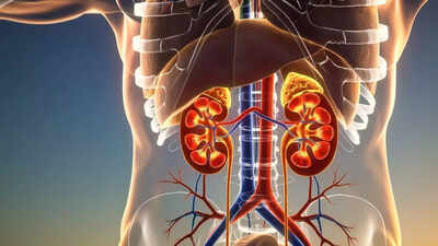 What is the parsley trick for kidney support and why people still use it