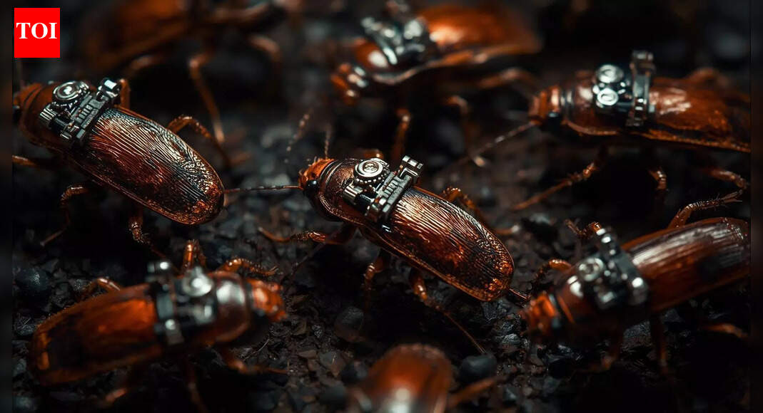 Cockroaches with tiny backpacks could become the world’s most unexpected spy technology