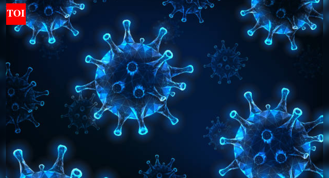 Content creator and influencer Paul Kim's 5-year-old son dies of a severe case of flu