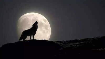 First Supermoon of 2026: These zodiac signs will face a major life change under the Wolf Moon