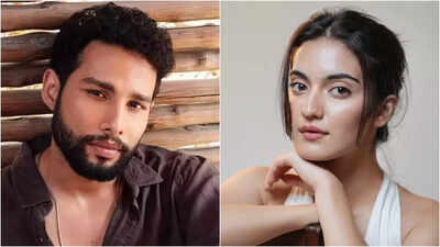 Pratibha Ranta and Siddhant Chaturvedi finally break their silence on ‘Dear Comrade’ Hindi remake, 'Wait for an official announcement'