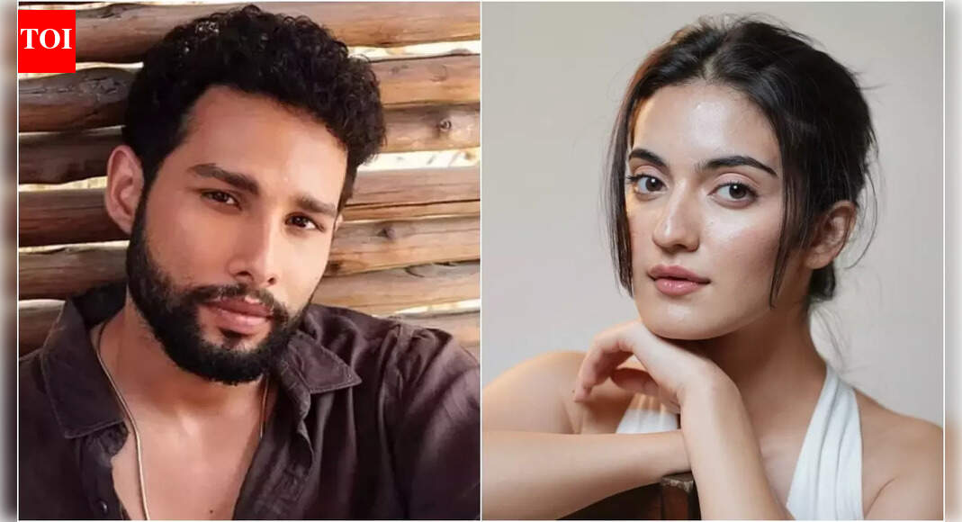 Pratibha Ranta and Siddhant Chaturvedi finally break their silence on ‘Dear Comrade’ Hindi remake, 'Wait for an official announcement'