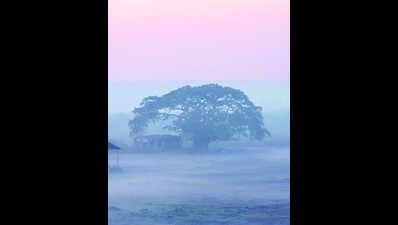 Dry weather continues in Goa as minimum temperatures dip