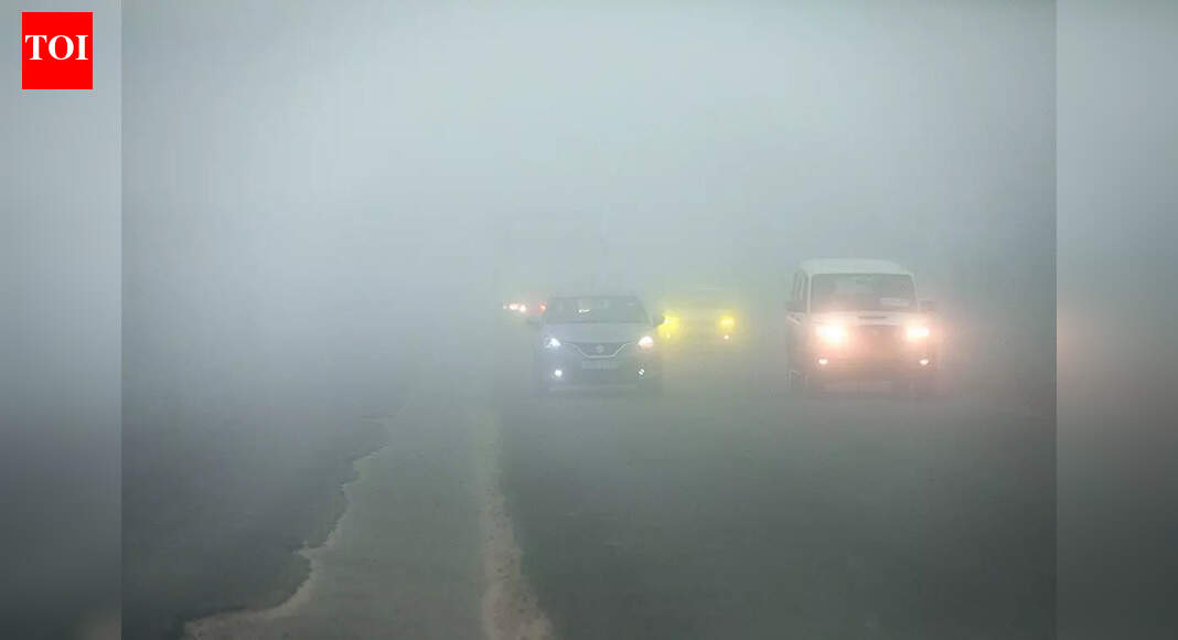 Expect dense fog in mornings, chilly nights till January 5: IMD