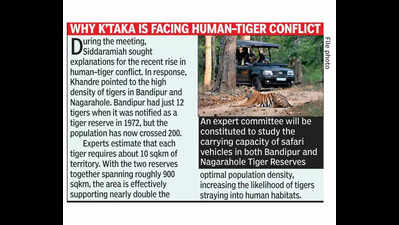 Post 2 months of ban, tiger safari may reopen in phases in Bandipur, Nagarahole