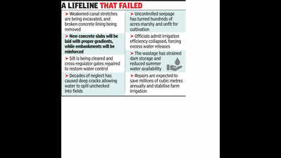 Kukadi left-bank canal repairs to revive hope & farms in Pune, Nagar, Solapur dists