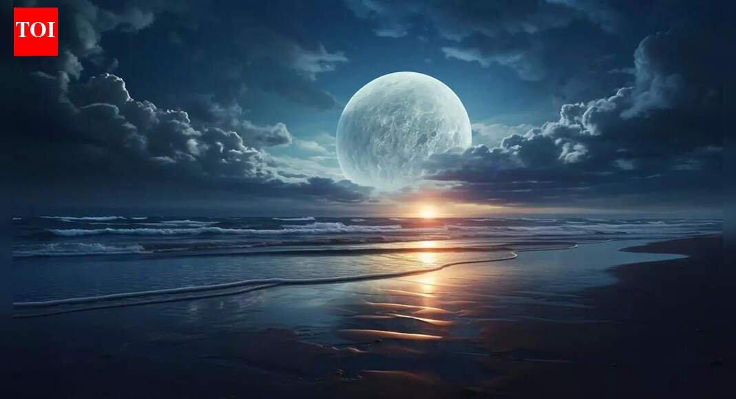 These Zodiac Signs Will Step Into Their Power After Full Moon 2026