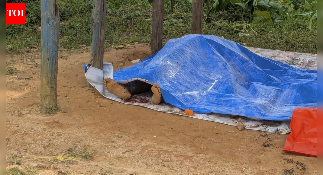 IS-linked fighters kill 14 in DR Congo attack