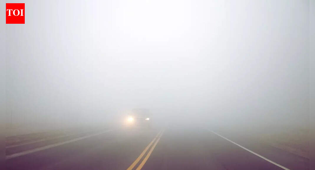 Widespread dense fog, cold wave conditions grip large parts of India; IMD issues multi-day warnings