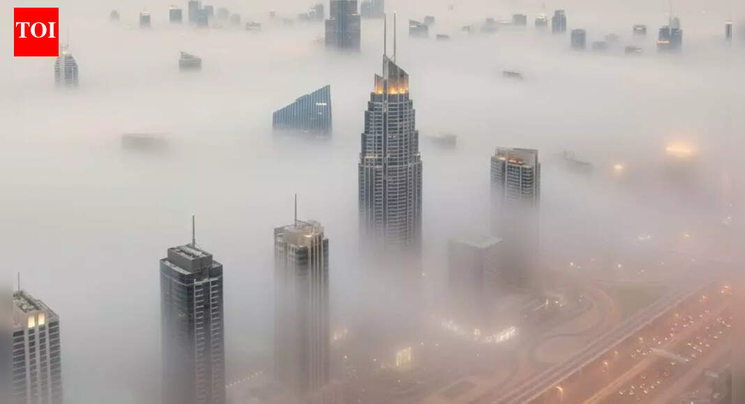 UAE fog alert: Authorities warns of extremely low visibility in Dubai and Coastal areas