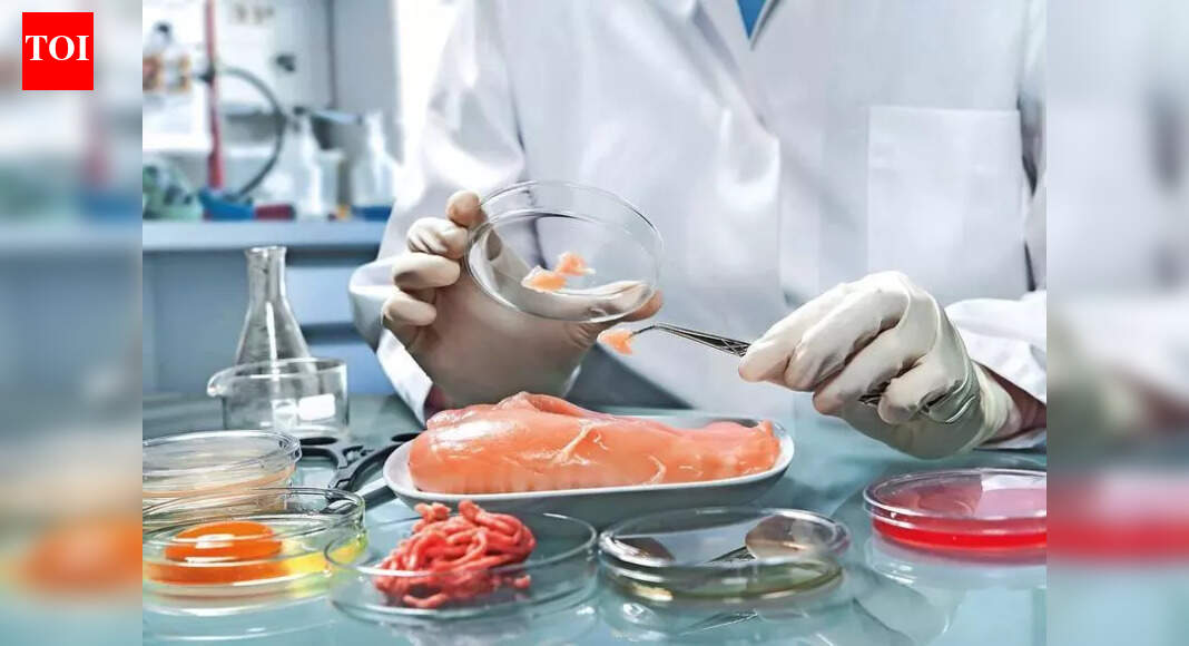 1 lab, 2 states: Telangana’s sole food testing facility delays safety reports by months