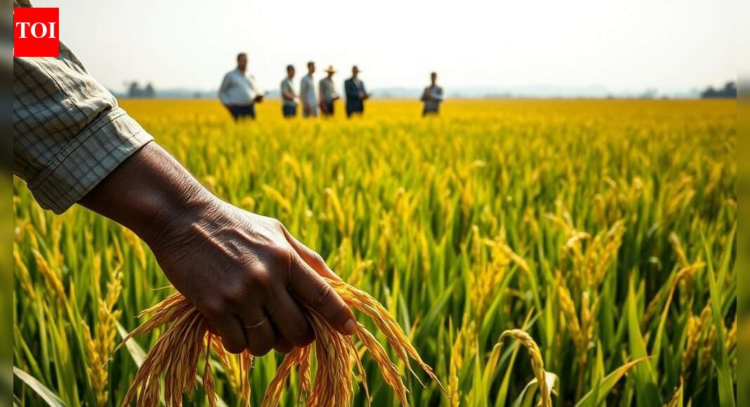 Budget 2026: Rice exporters seek support to boost sustainability, global competitiveness