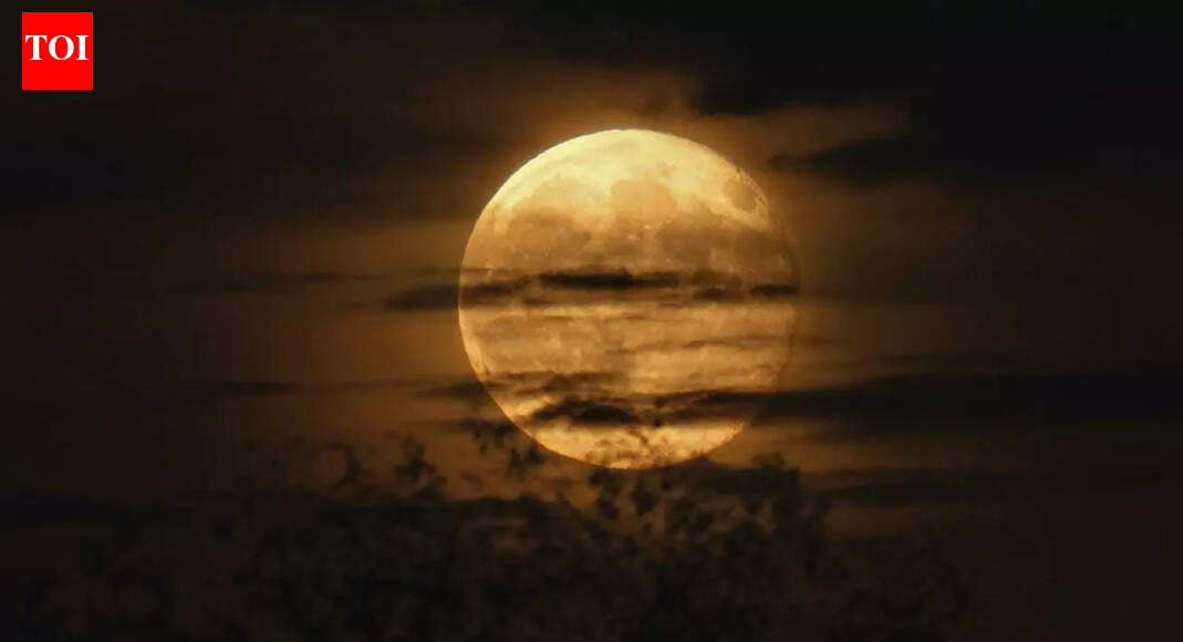 What happens if the Moon disappears