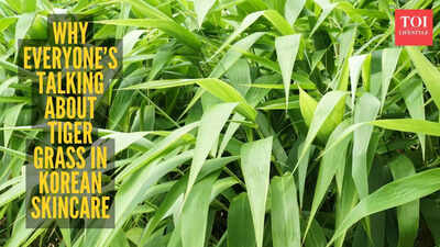 டைகர் கிராஸ் என்பது இந்த ஆண்டின் கொரிய அழகுப் பொருளாகும், அதை நீங்கள் உண்மையில் எப்படிப் பயன்படுத்தலாம் என்பது இங்கே