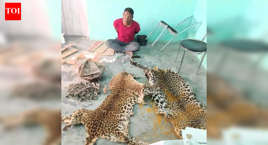 Threat to wildlife: Wildlife trafficker apprehended with illegal animal parts; Ongoing efforts to dismantle regional smuggling routes intensify