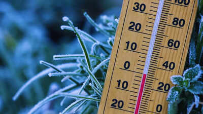 Travelling in early January? Cold wave and low visibility likely across popular North Indian routes