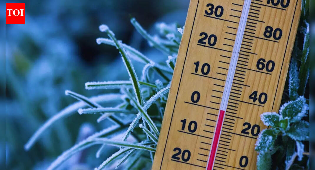 Travelling in early January? Cold wave and low visibility likely across popular North Indian routes