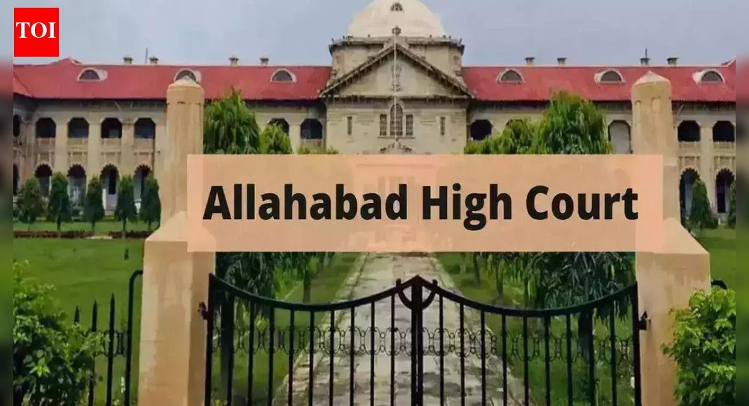 Being on waitlist does not guarantee hiring, says Allahabad high court