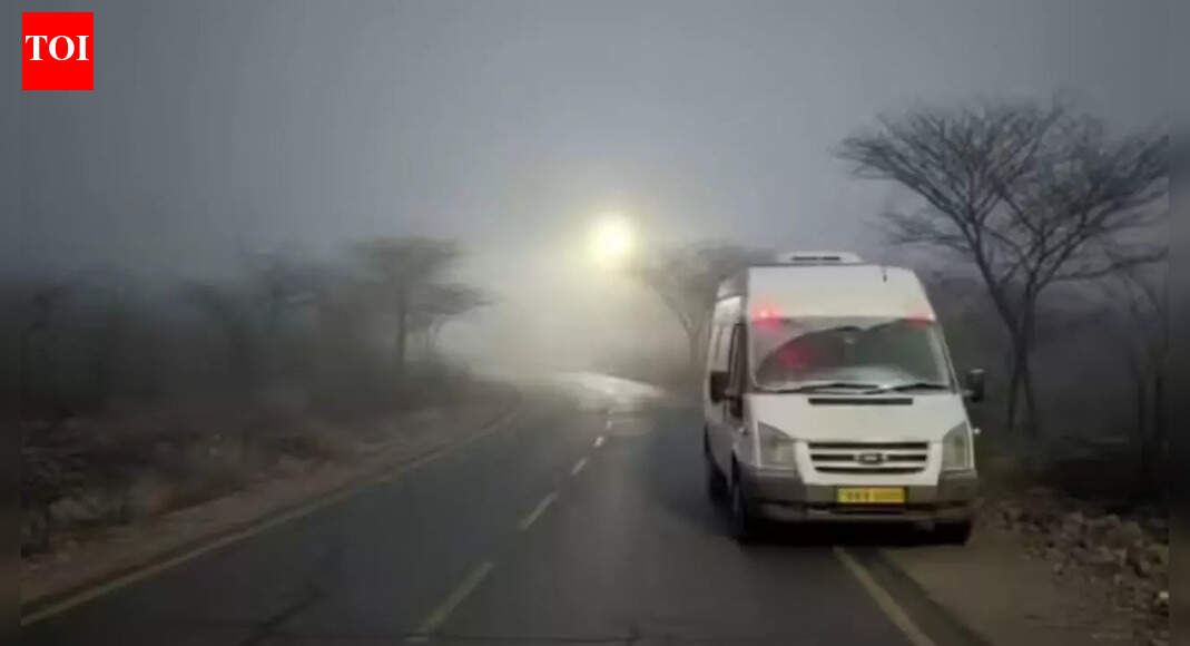 ‘It was an ambulance, so she trusted': Family reveals why Faridabad woman accepted lift before brutal gang-rape