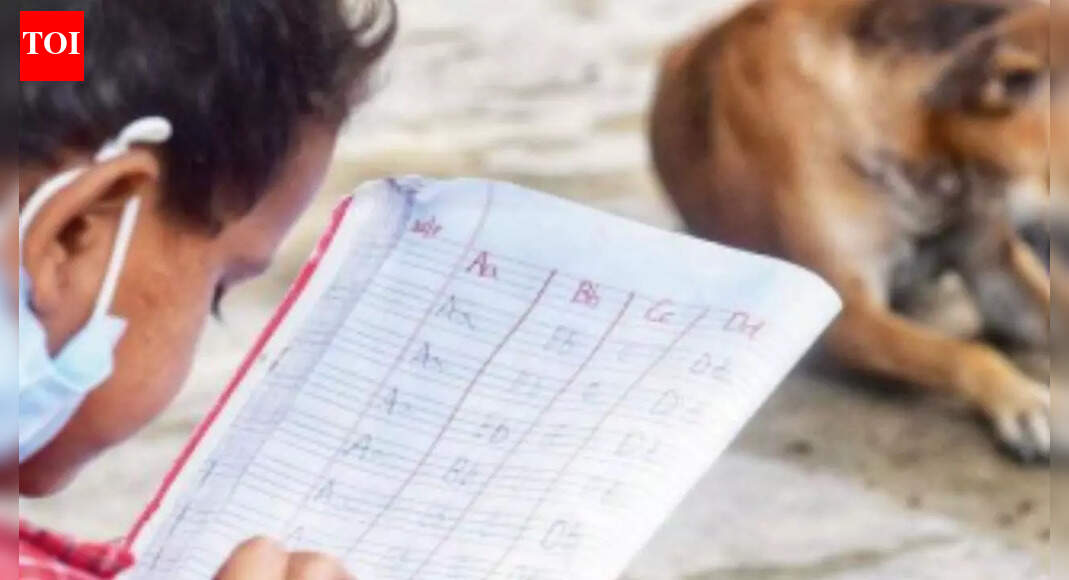 Who guards the school gate? The stray-dog row that put teachers on the hook; here's why they're pushing back