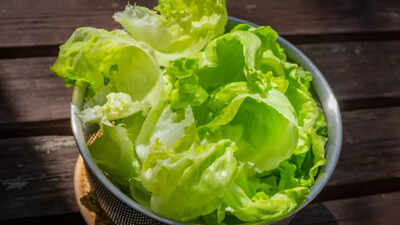 How to store lettuce in the fridge so it stays fresh, crisp, and green