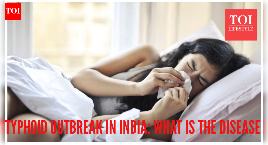 Typhoid outbreak in India - what causes the disease, and what makes it dangerous