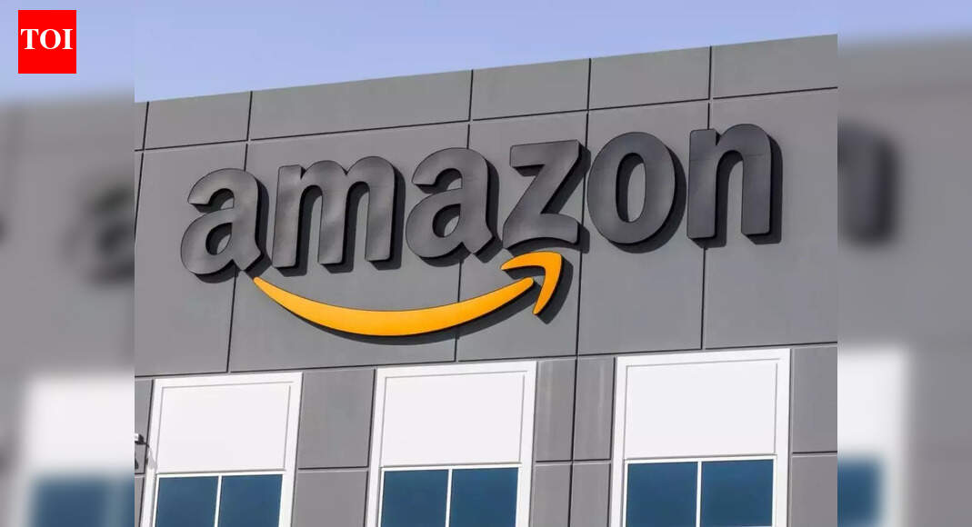 Amazon’s visa bind: When stranded employees are allowed to work, but  not do their jobs