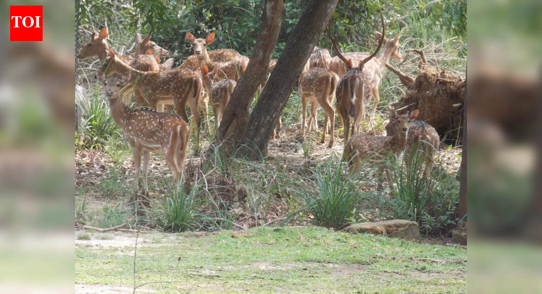 ‘Poacher’ electrocuted in live-wire trap in Bhitarkanika