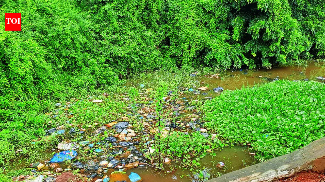 CAG uncovers ₹3.1cr excess payment in Sal desilting