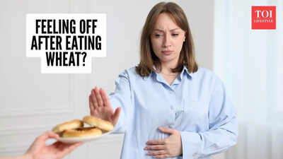 Why gluten makes so many people feel unwell, but tests look normal: What’s really going on