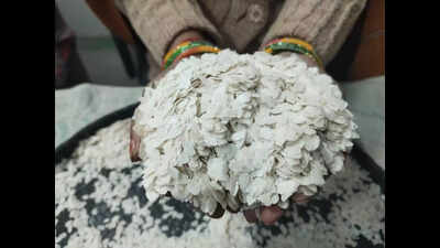 पश्चिम चंपारण का जीआई-टैग मार्चा चुरा मकर संक्रांति कई लोगों का पसंदीदा बन गया है