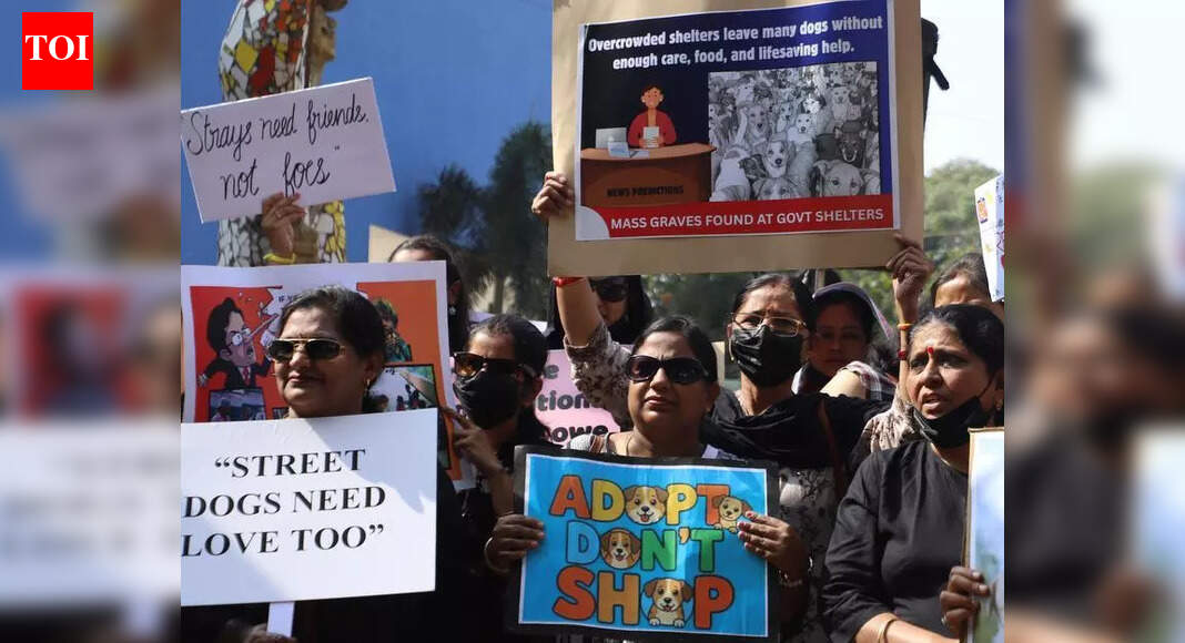 Stop illegal pickups, form panel: Activists to Greater Bengaluru Authority on stray dog issue