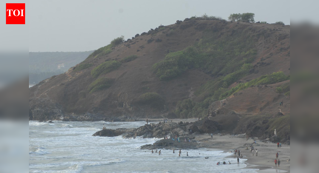 Urgent Demand for Turtle Nesting Status for Vagator Beach Amid Decline in Turtle Sightings