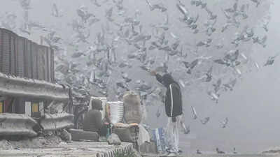 Delhi air pollution: AQI in ‘poor’ zone at 262; fog disrupts flight ops at IGI