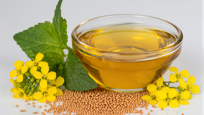 Can mustard oil massage ease joint pain?