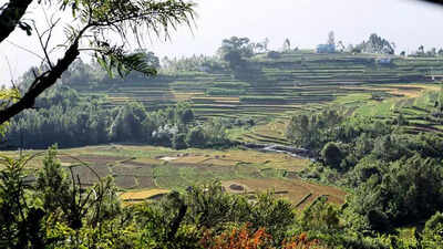 Like in Aravalli range, efforts needed to protect Western Ghats too, say experts