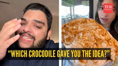 “Which crocodile gave you the idea?” Viral butter chicken tiramisu sparks hilarious reactions online